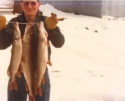 Wilfred Henry Hentges photo 21