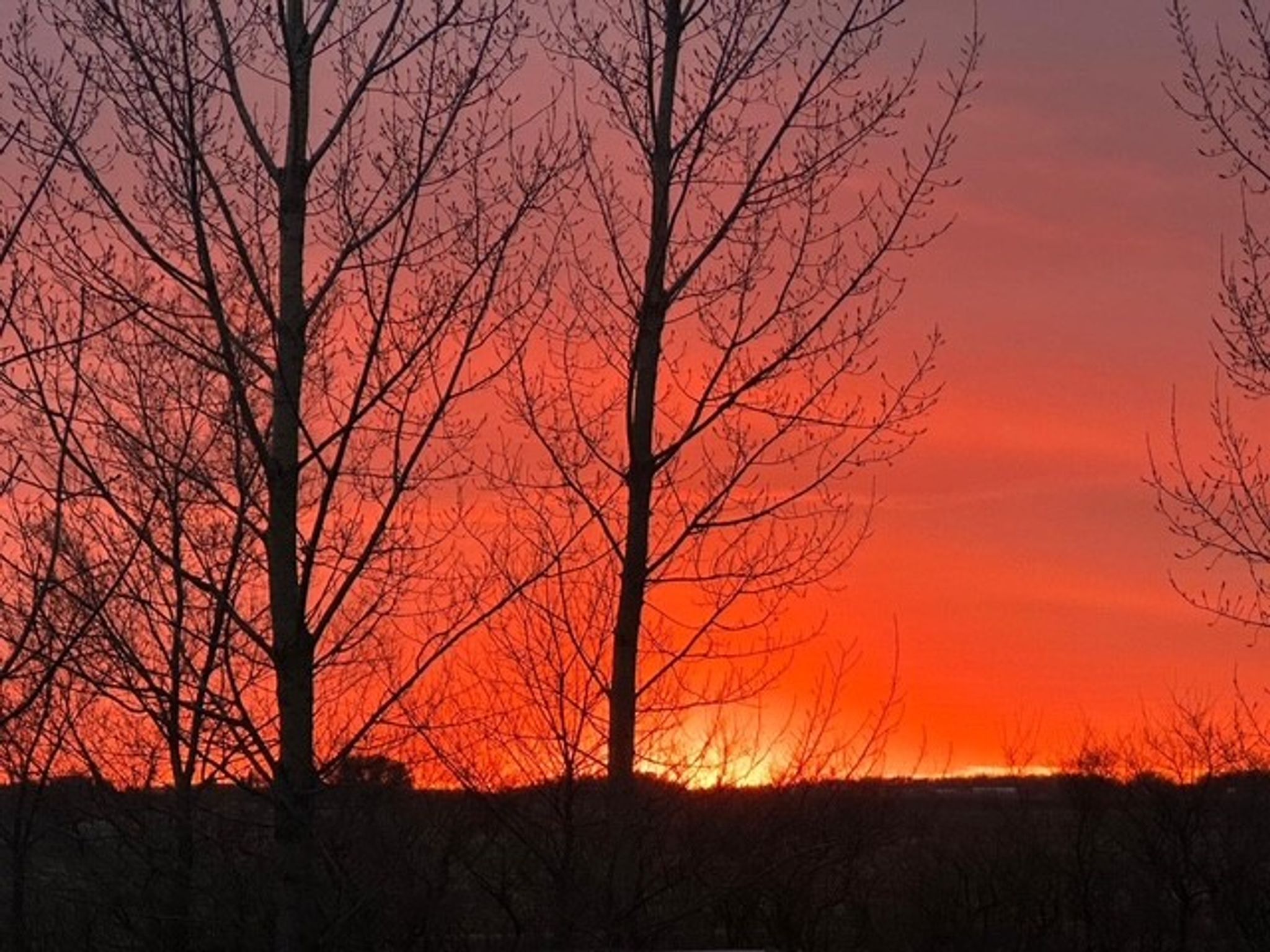 Cover for Stephen D. Waldner's Obituary