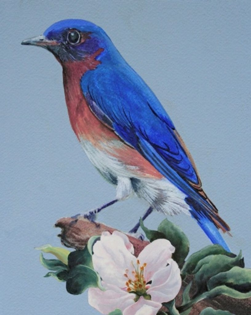 Margaret A. Wilcox Profile Photo