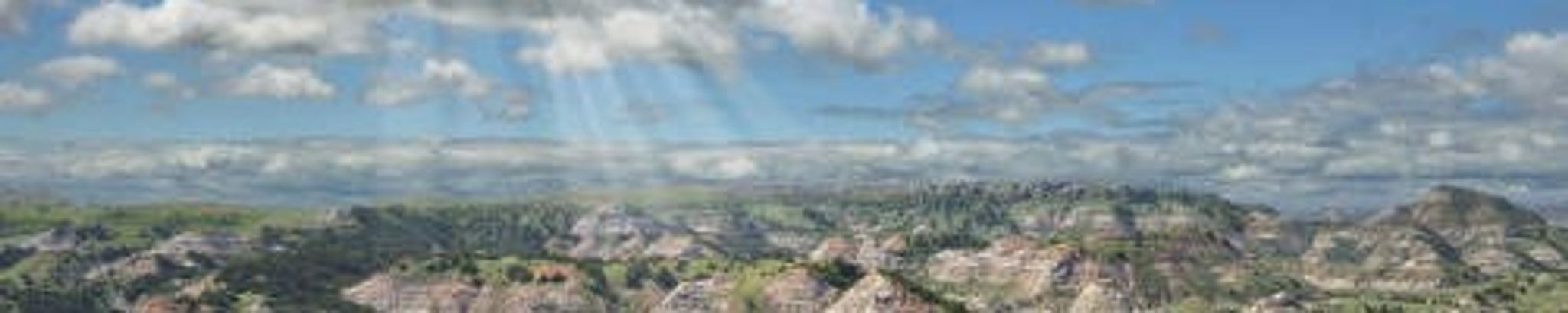 Cover for Patricia Williams's Obituary