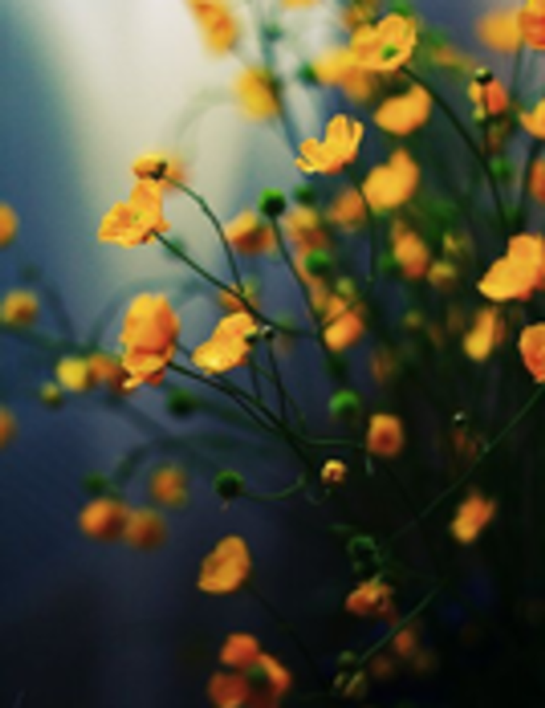 Julie (Roden) Fulghum