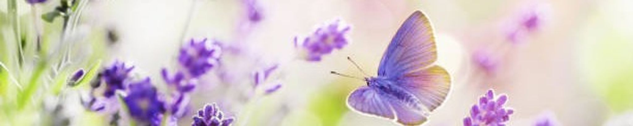 Cover photo for Patricia 'Pat' Huhta's Obituary