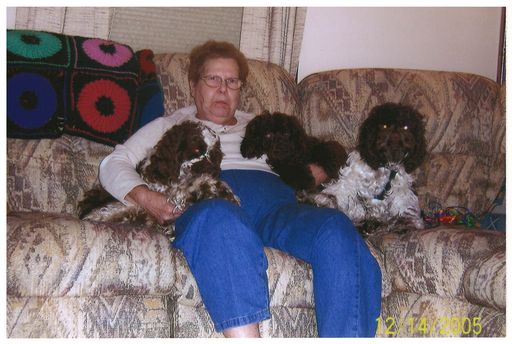 Gary L. Hall photo gallery thumbnail 276 of 354