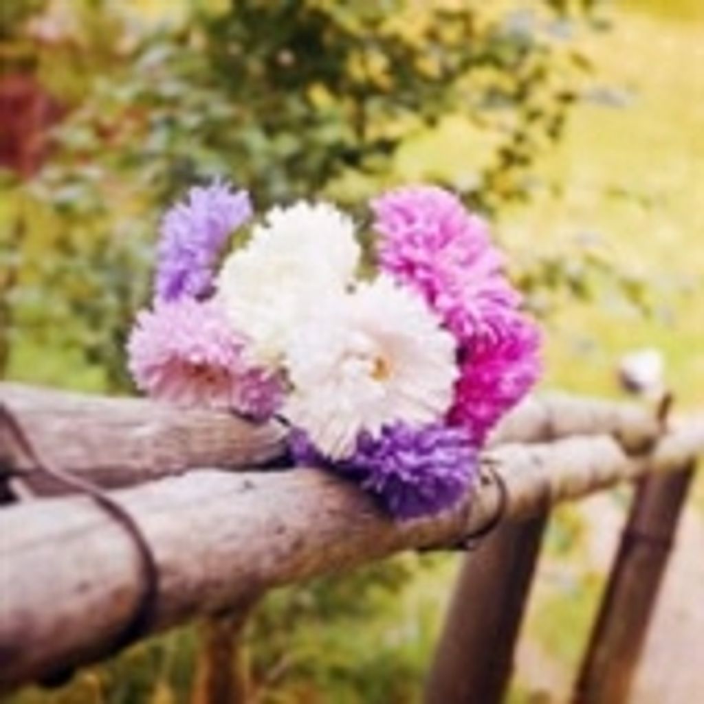 Helen Elizabeth Wilmot