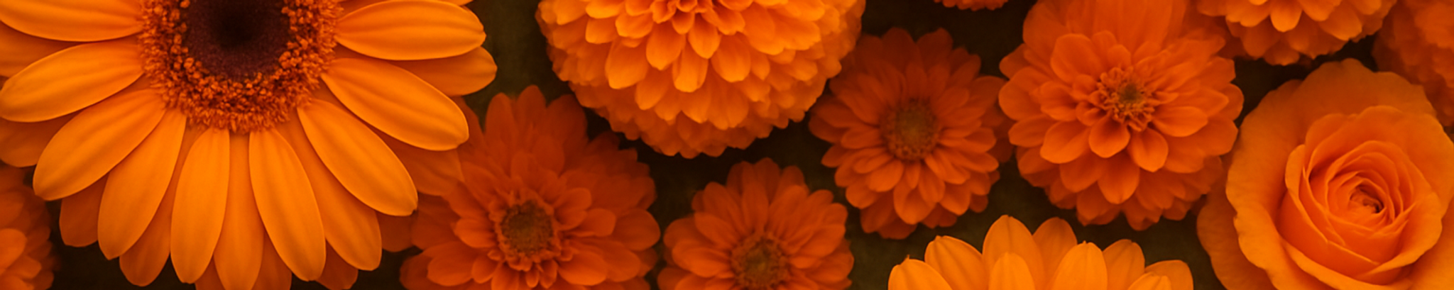 Cover photo for Christine "Chrissy" Burley's Obituary