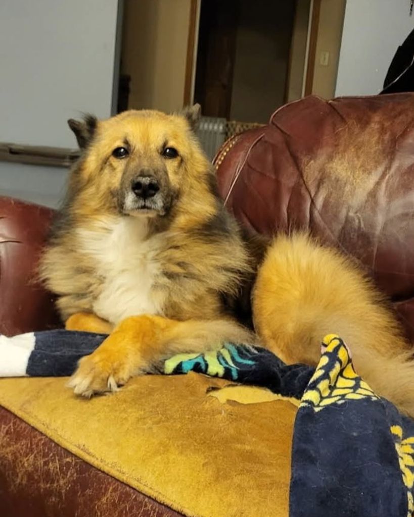 Sadie Mae Alexander Profile Photo