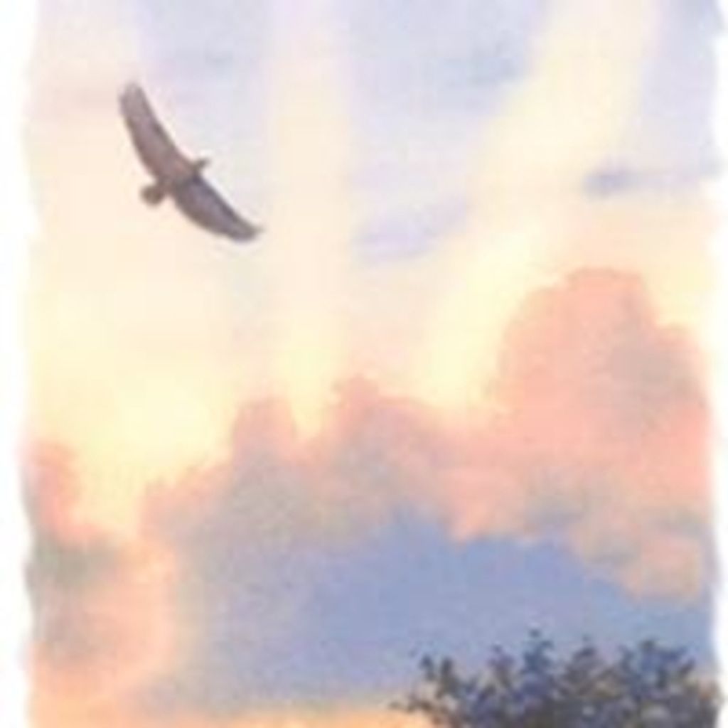 Mark Douglas Scott Profile Photo