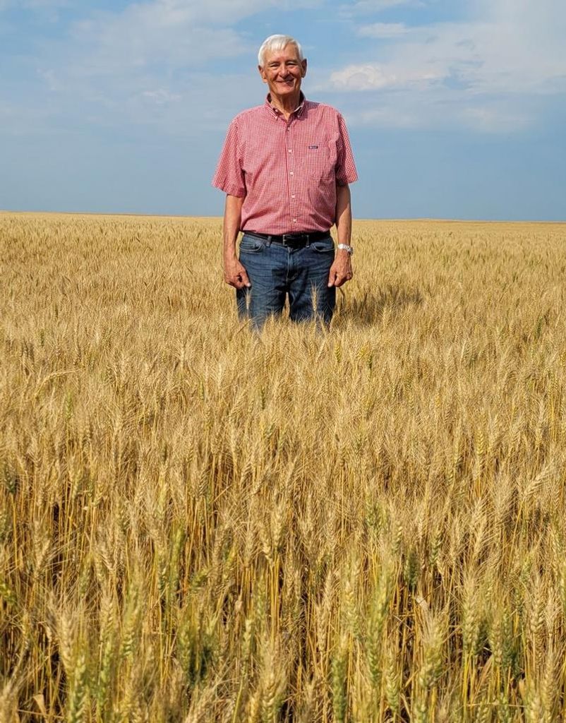 Terry Vogel Profile Photo