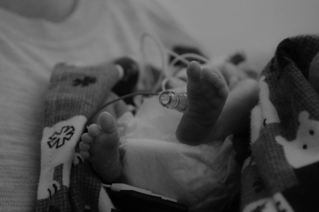 Thomas Silvestri Shope