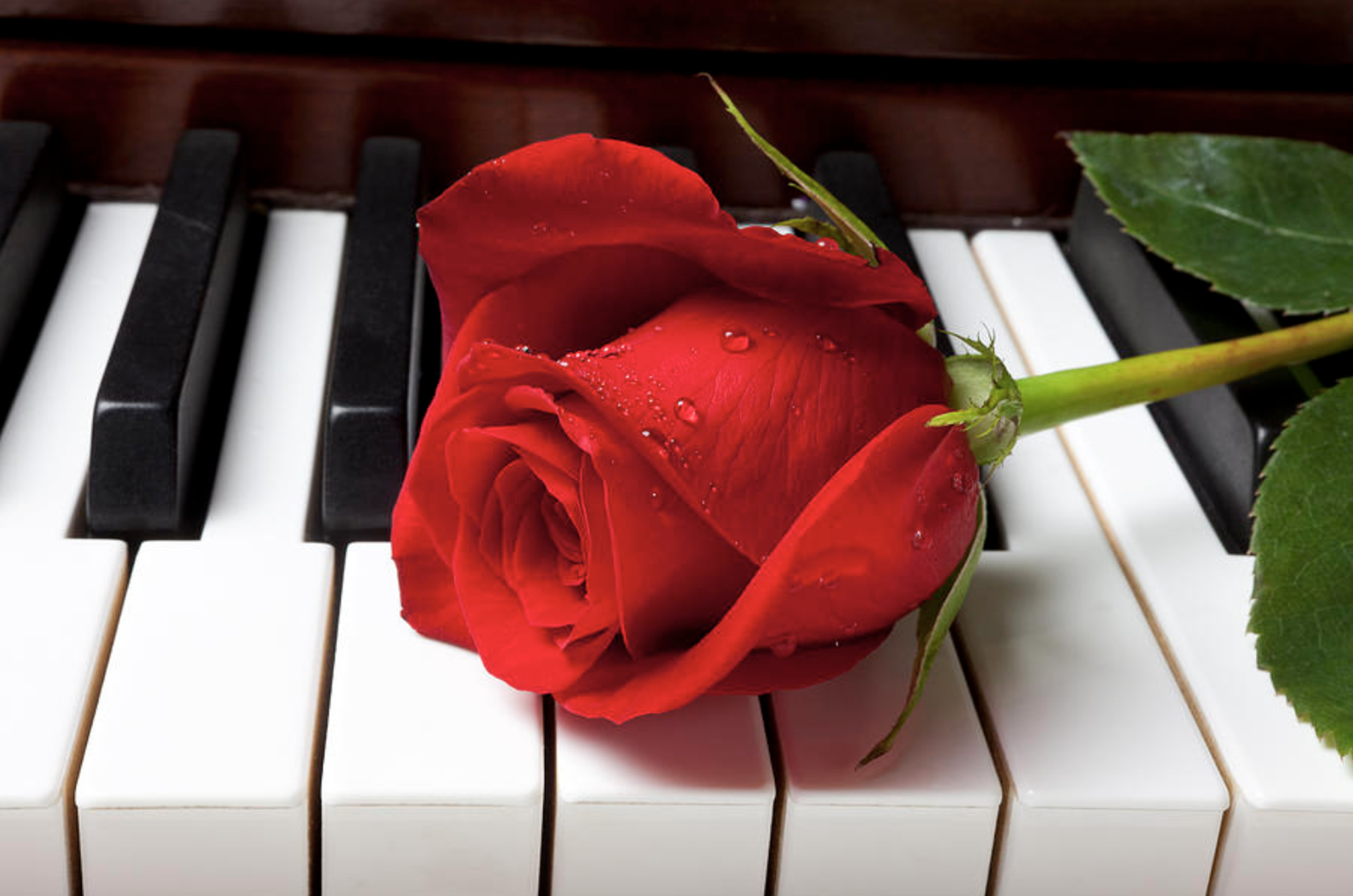 Cover for Talmadge Scales's Obituary