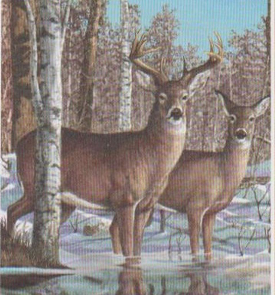 John T. "Jack" O'Brien, Jr. Profile Photo