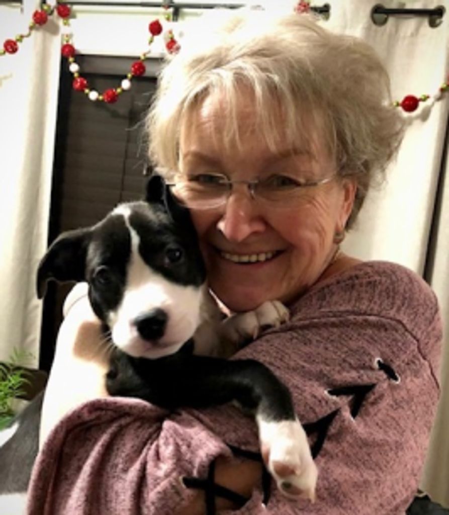 Therese Grady Profile Photo