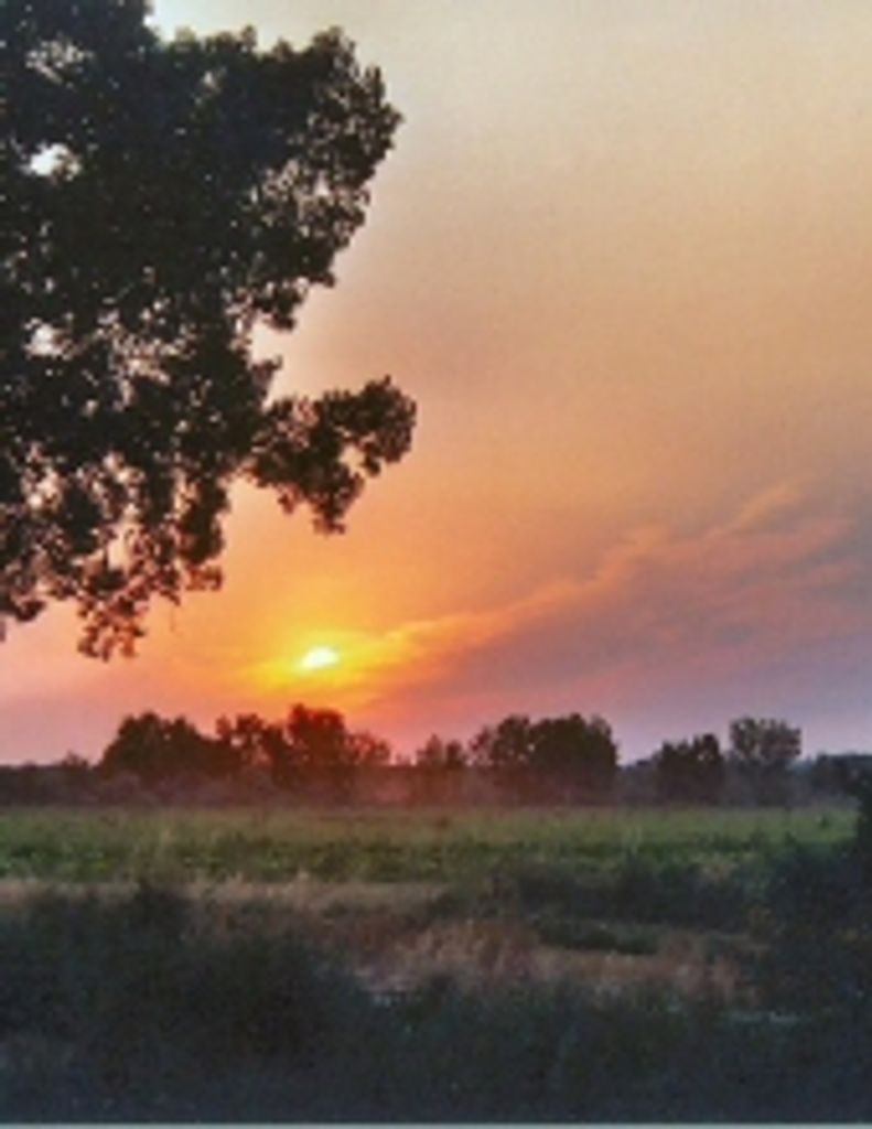 Bernard "Bernie" Wingerter Profile Photo