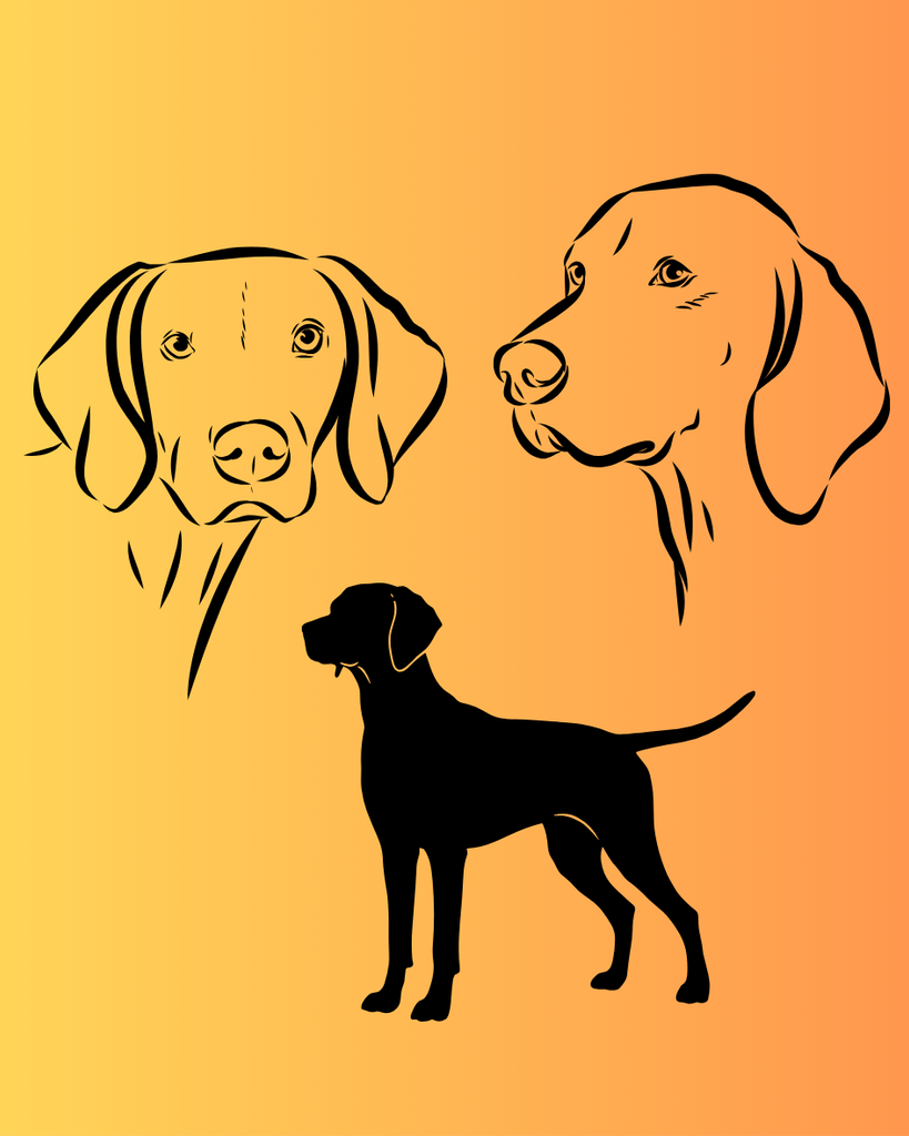 Chance Jacobs Profile Photo