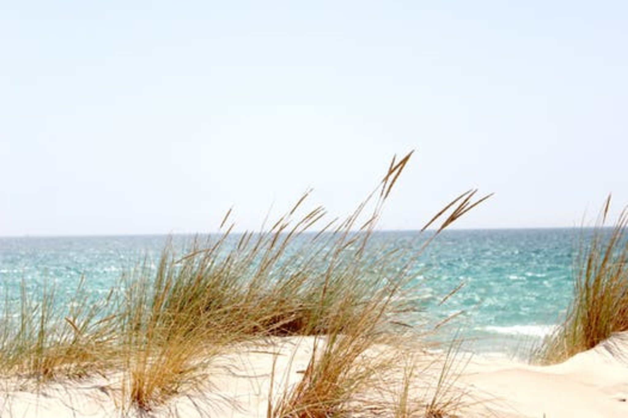 Cover photo for Connie Collins's Obituary