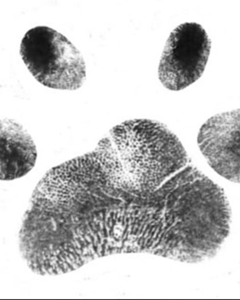 Lily Anne Jones Profile Photo