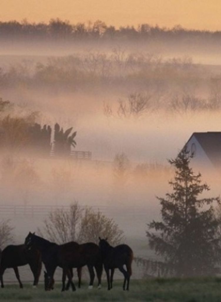 Samuel David Roberts Jr.