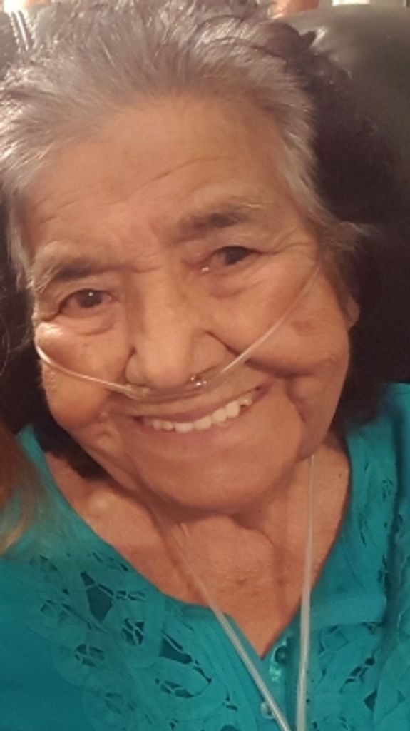 Albina Flores Molina