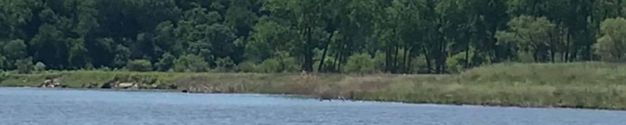 Cover for Daniel "Dan" Paul Wanderscheid's Obituary