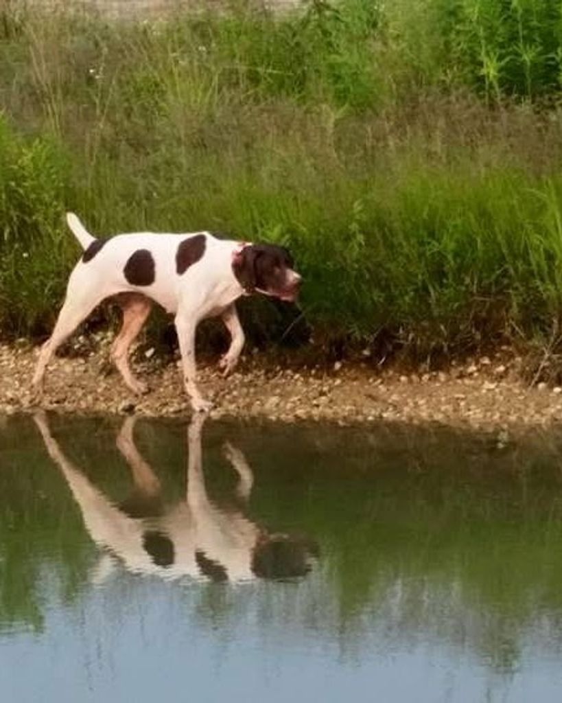 Fergie  (Princess Ferguson) Profile Photo