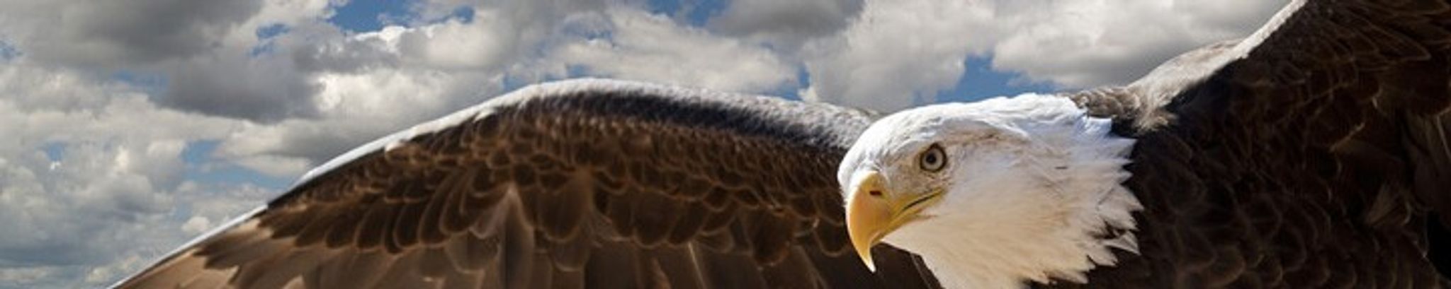 Cover for William "Billy" Ross Bast's Obituary