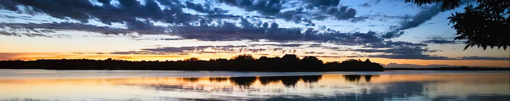 Cover photo for Kathleen "Kathy" Violet's Obituary