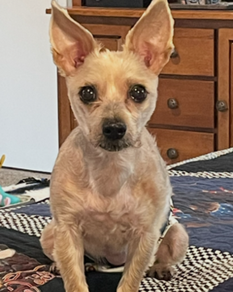 Harley Jay Profile Photo