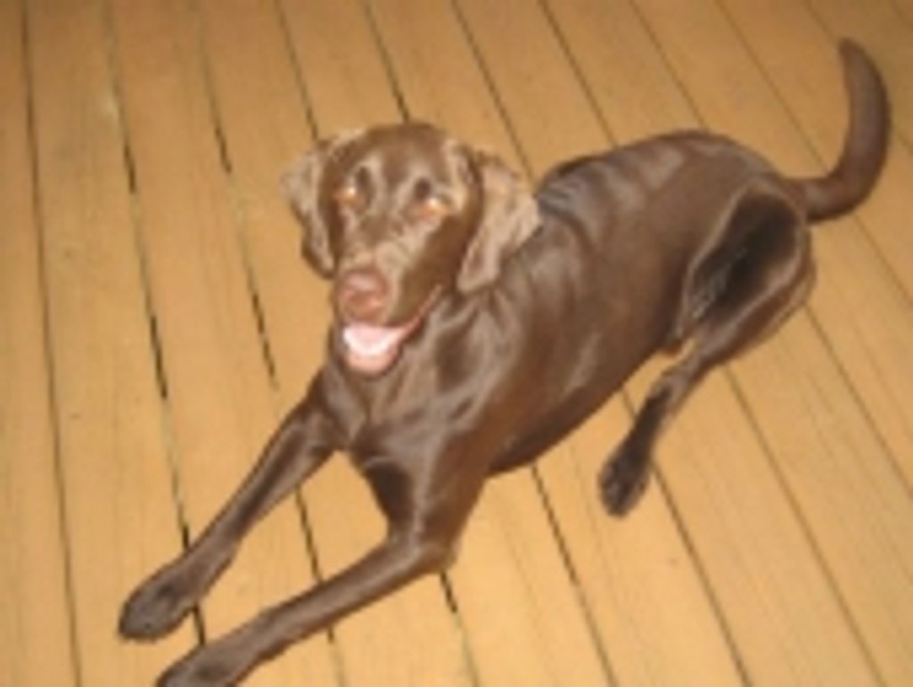 Barkley Kinney Profile Photo