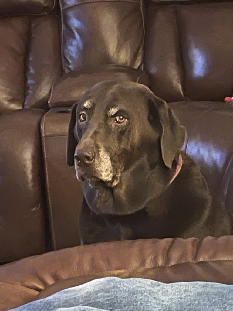 Harley Vandivere Profile Photo