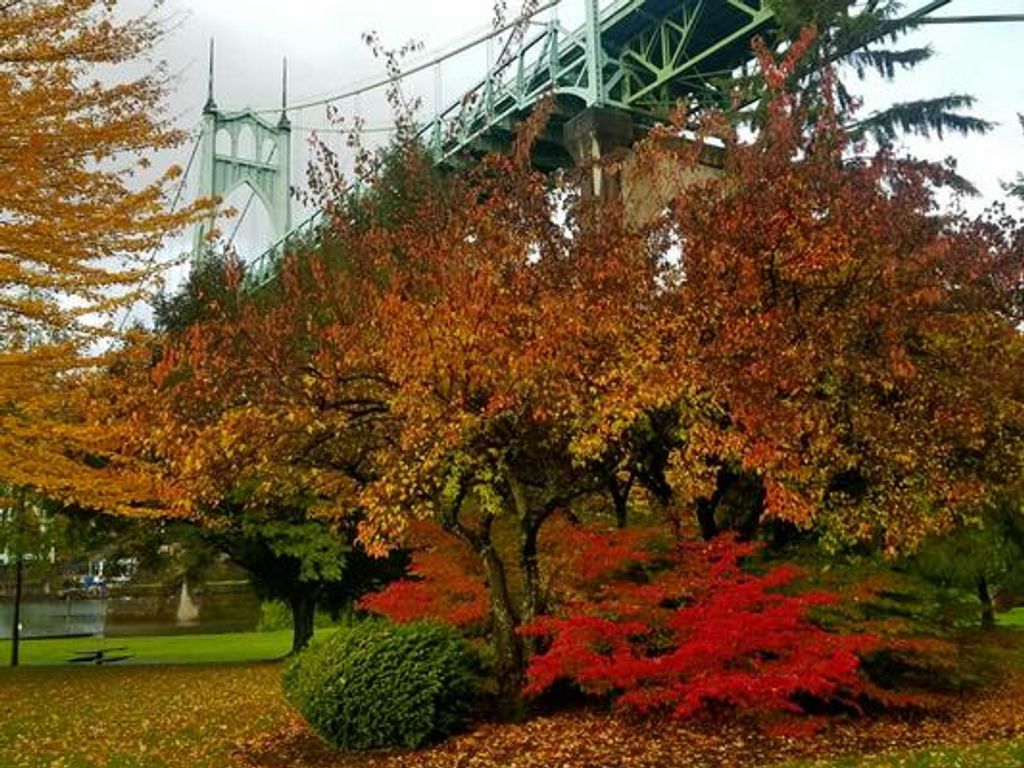 Robert George Bairens