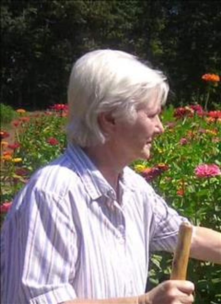 Lynn Fleming James Profile Photo