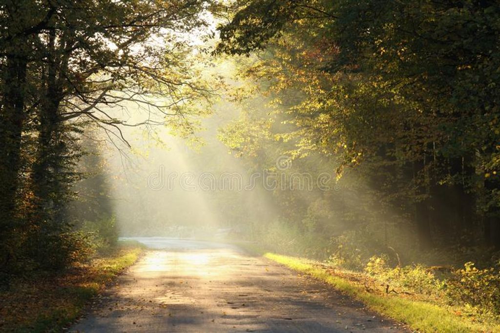 Charles Patrick Henson Profile Photo