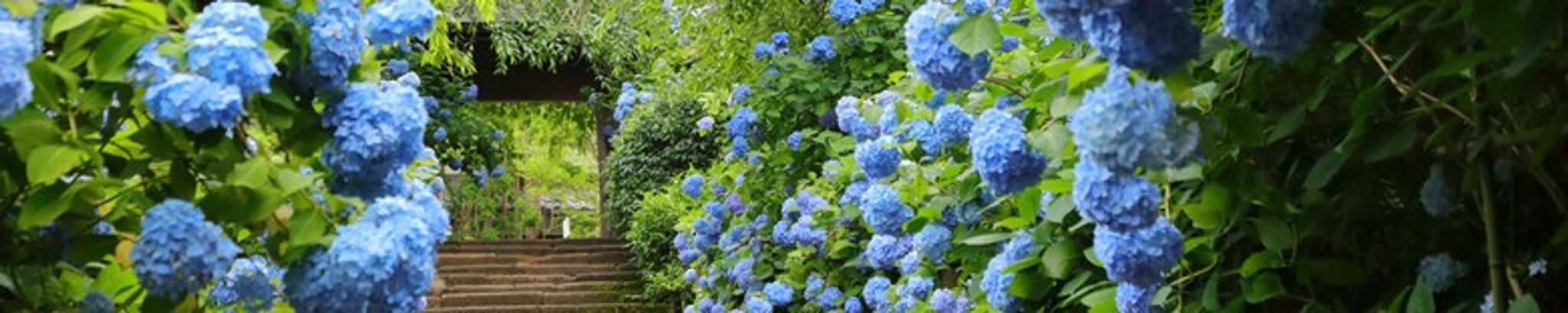 Cover photo for Joan M. Scales's Obituary