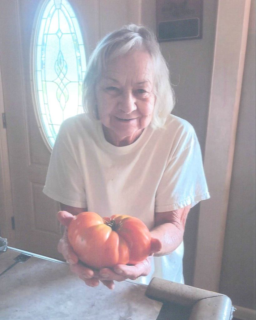 Sue Ann O'Bryan Profile Photo
