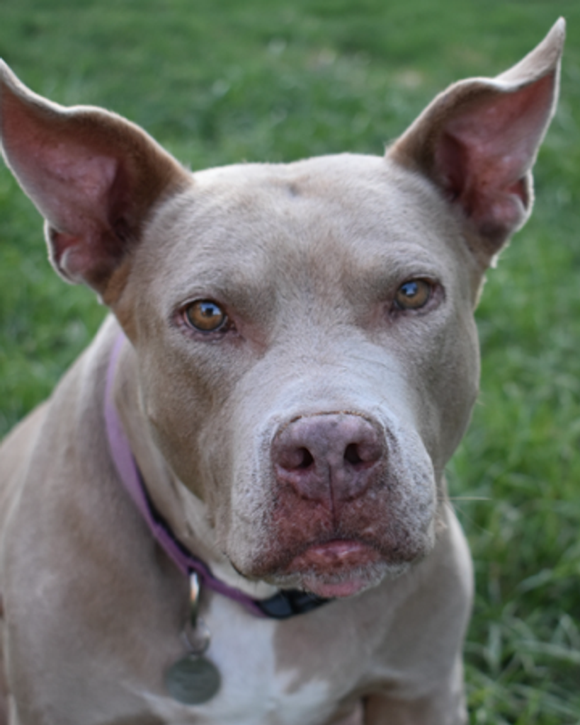 Karma Digby Profile Photo