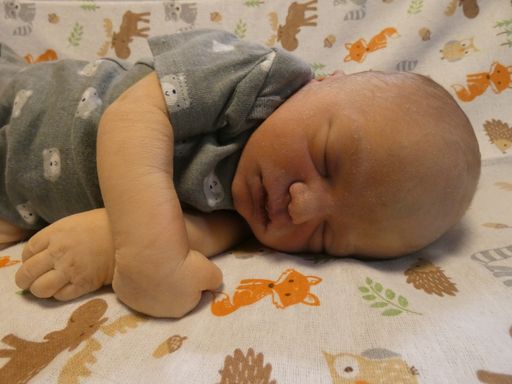 Greyson Robert Acworth Profile Photo