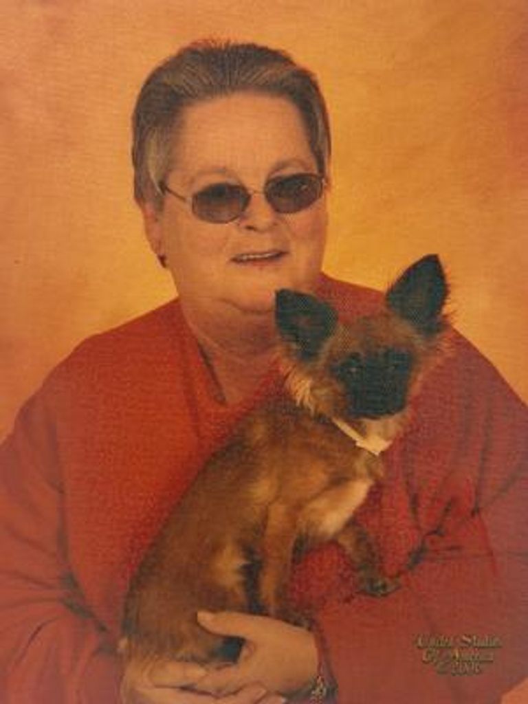Sue Carol Horner Profile Photo