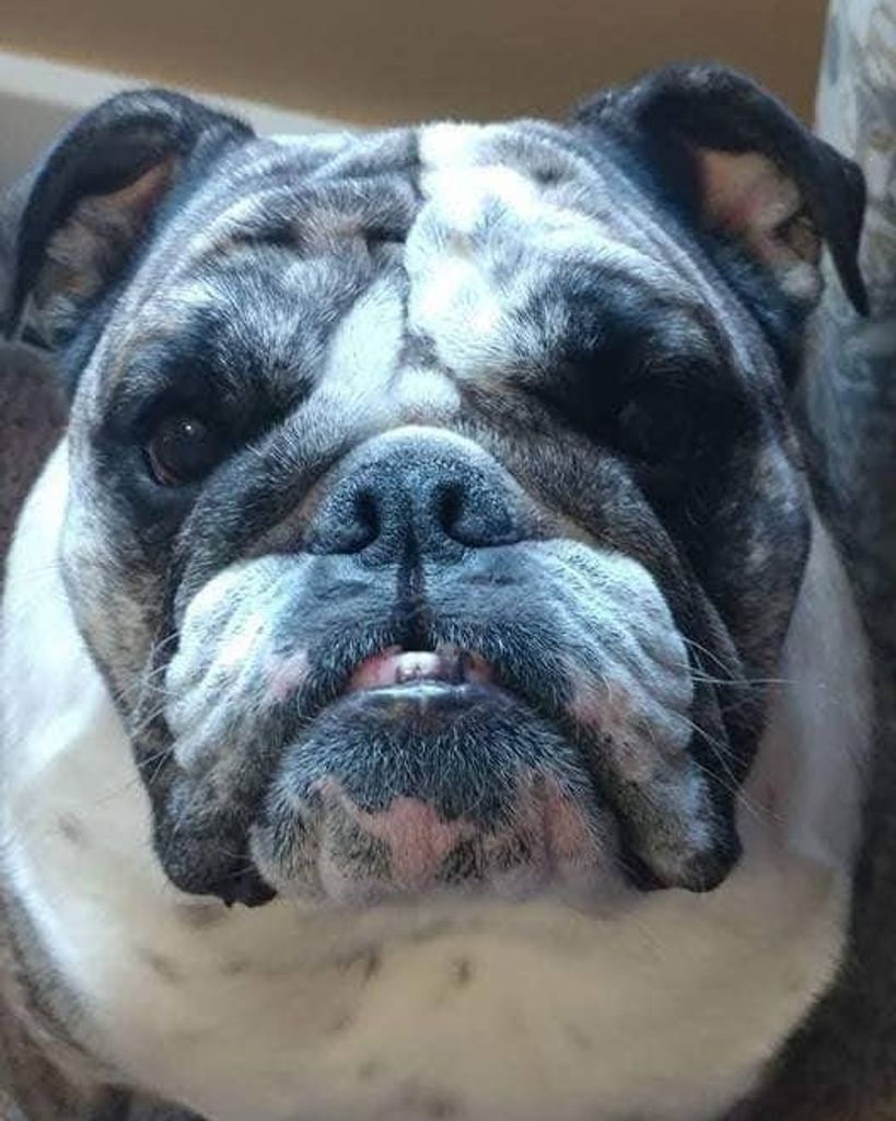 Matilda Gertrude