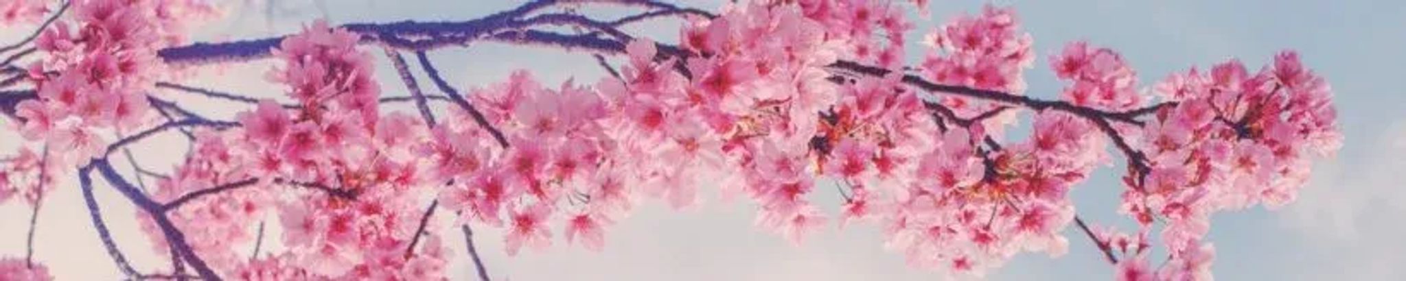 Cover photo for Mona Linda Riggs's Obituary