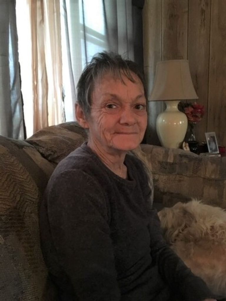 Phyllis Ann Flowers Profile Photo