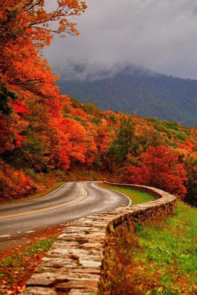 John Elwood Sine Profile Photo