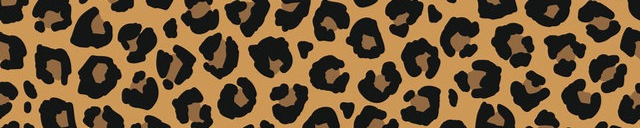 Cover for Wanda Jean Martin's Obituary