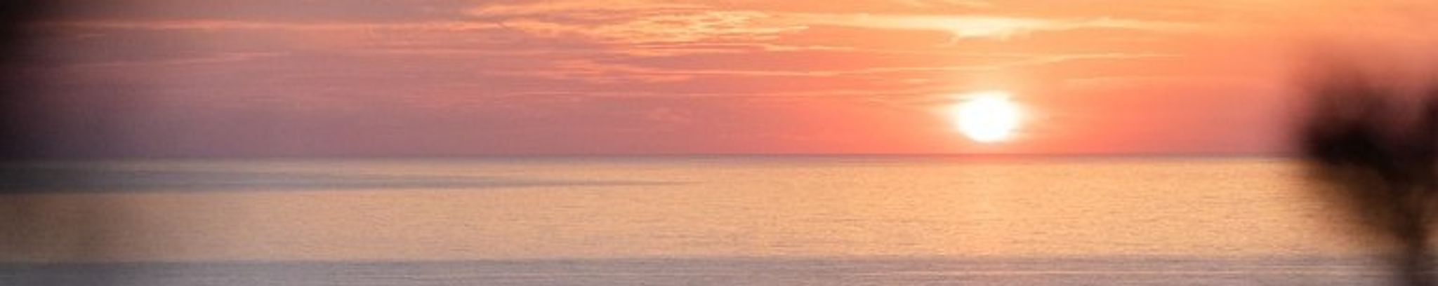 Cover photo for Robert BOSCH's Obituary