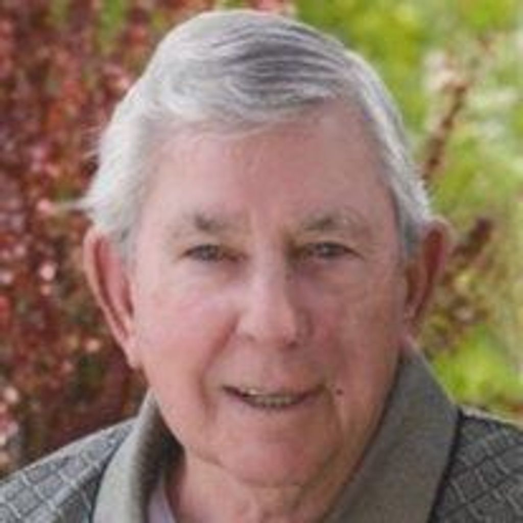 D Lochrie Profile Photo