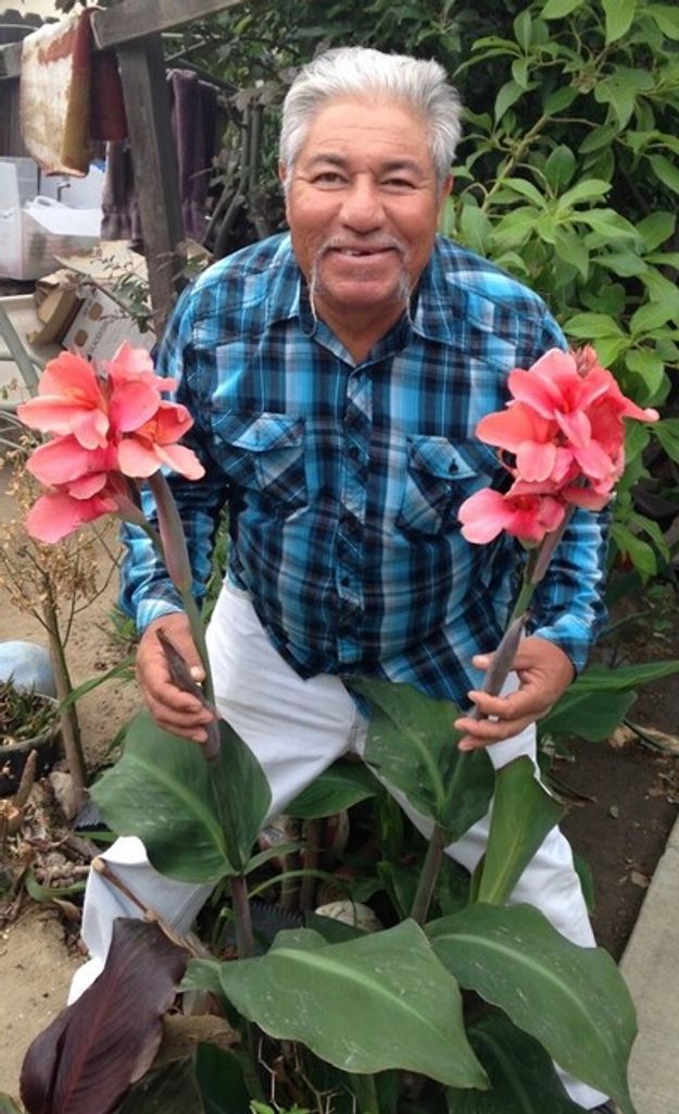 Antonio - Morales Profile Photo