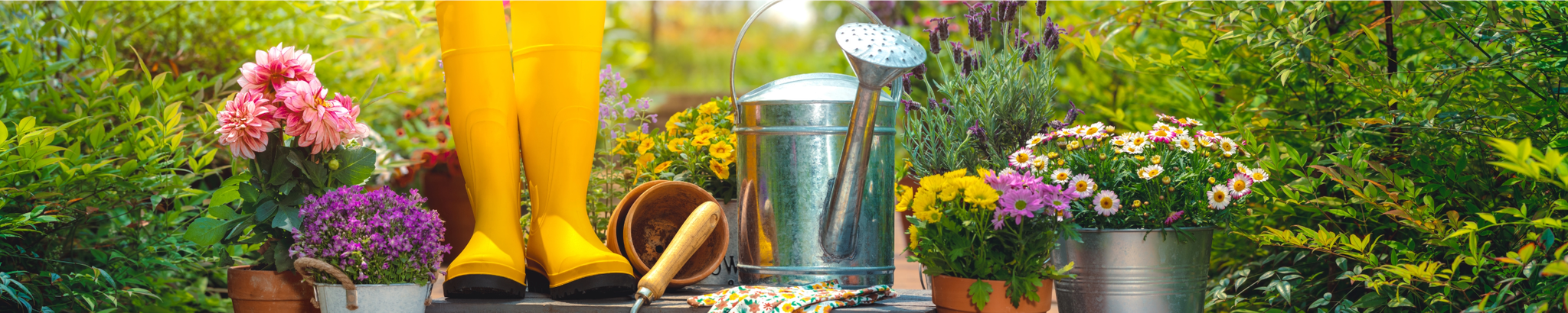 Cover for Zola Mae Buchanan's Obituary