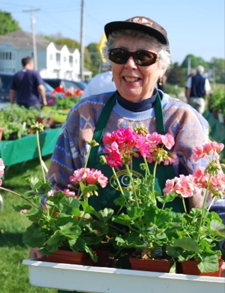 Shirley Anne Utterback