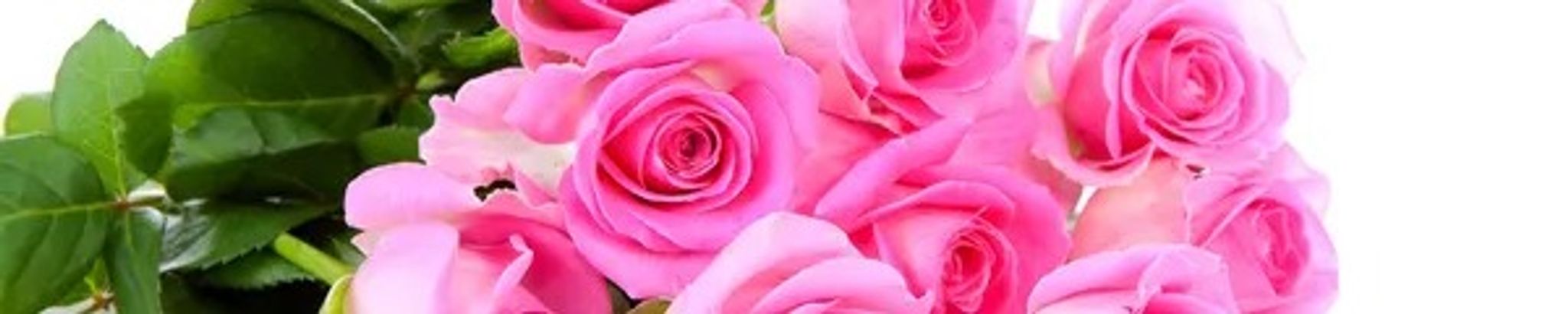 Cover photo for Ines Hernandez's Obituary