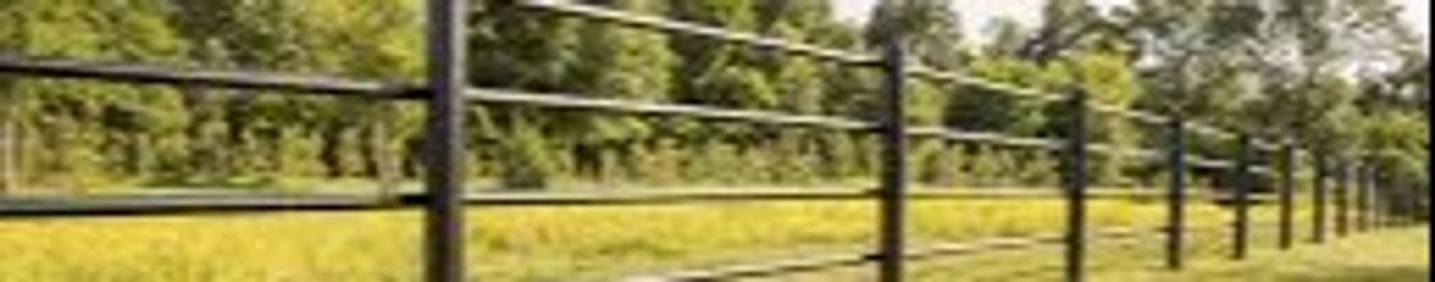 Cover for Dionisio Alberto Chavez's Obituary