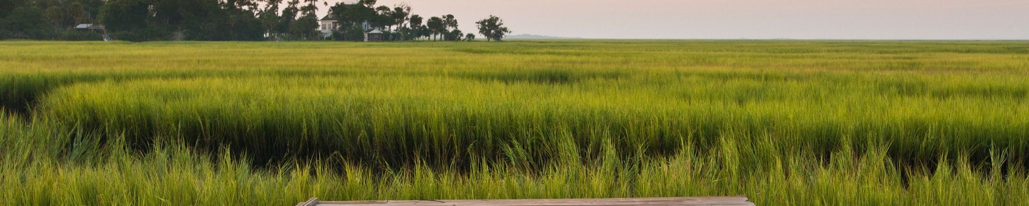 Cover for Marjorie Kicklighter Wedincamp's Obituary